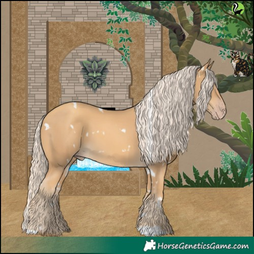 Horse Color:White Spotted Gold Cream Champagne 