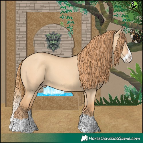 Horse Color:Gold Champagne Dun Splash 