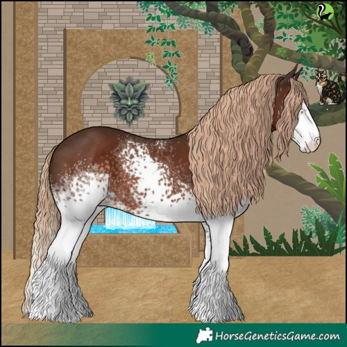 Horse Color:White Spotted Liver Chestnut Tobiano 