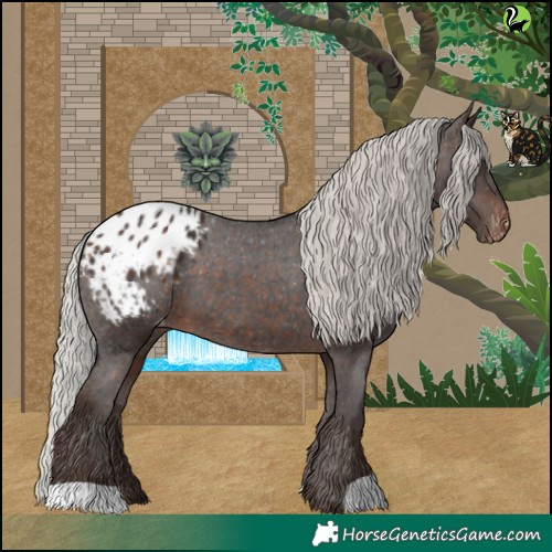 Horse Color:Silver Brown Blanket 