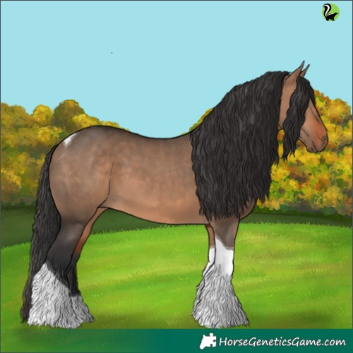 Horse Color:Brown Dun Tobiano 