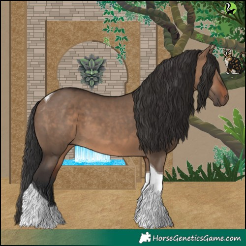 Horse Color:Brown Dun Tobiano 