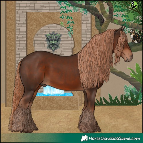 Horse Color:Liver Chestnut 