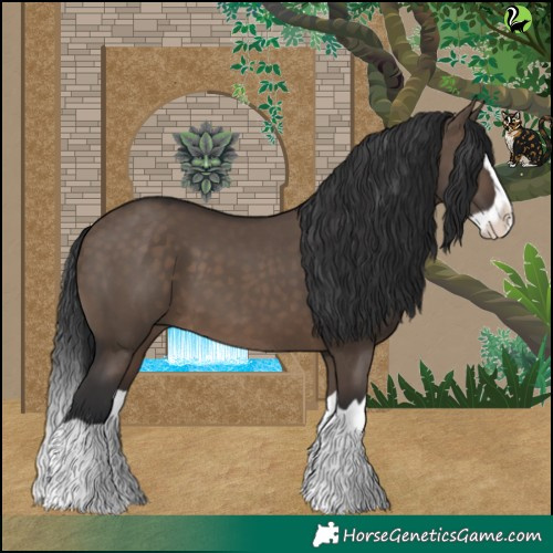 Horse Color:Brown Dun Splash 