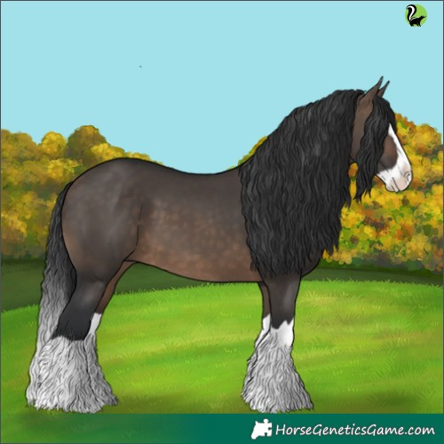 Horse Color:Brown Dun Splash 