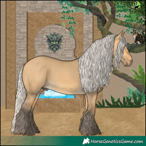 Horse Color:Silver Buckskin Dun 