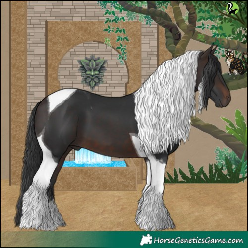 Horse Color:Brown Tobiano 