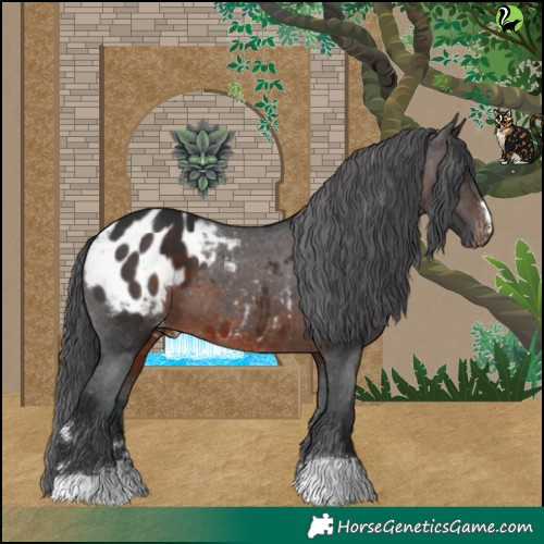 Horse Color:Brown Blanket 