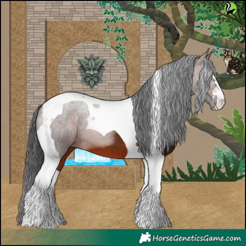 Horse Color:Brown Tobiano 