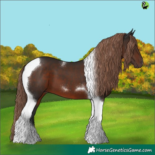 Horse Color:Liver Chestnut Tobiano 