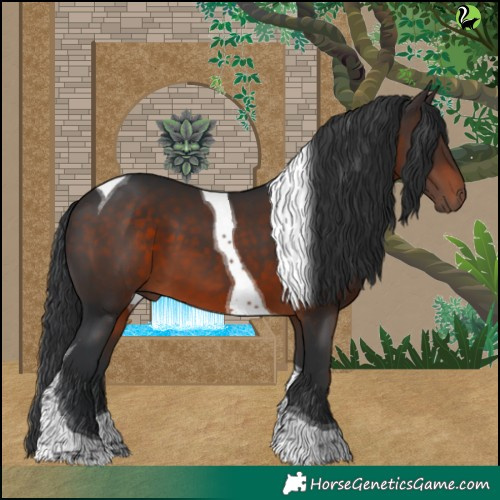 Horse Color:Brown Tobiano 
