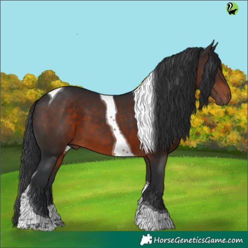 Horse Color:Brown Tobiano 
