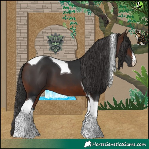 Horse Color:White Spotted Brown Tobiano 