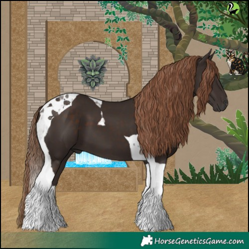 Horse Color:Liver Chestnut Tobiano 