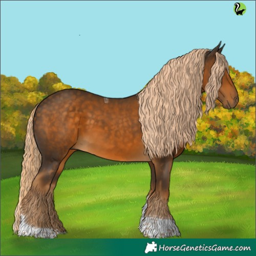 Horse Color:Chocolate Palomino Tobiano 