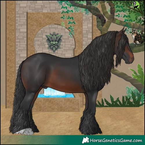 Horse Color:Brown 