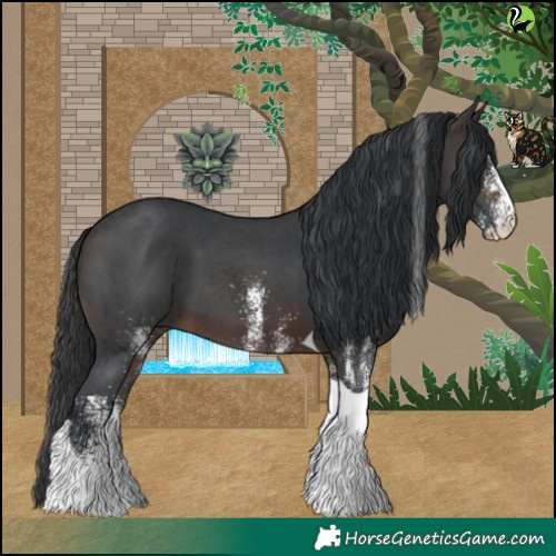 Horse Color:White Spotted Brown Tobiano 