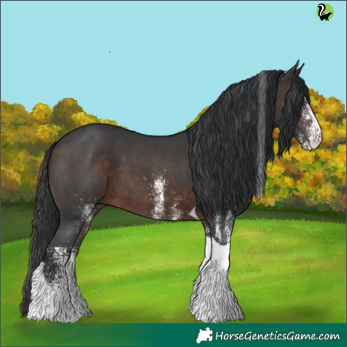 Horse Color:White Spotted Brown Tobiano 