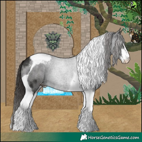 Horse Color:White Spotted Liver Chestnut Tobiano Appaloosa 