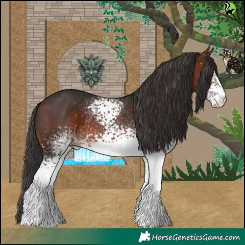 Horse Color:White Spotted Bay 