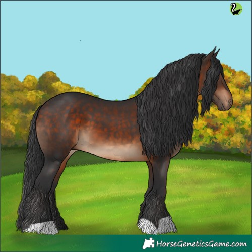 Horse Color:Brown 