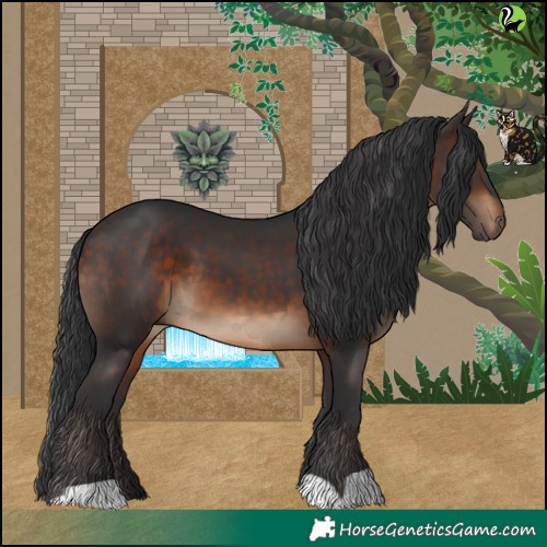Horse Color:Brown 