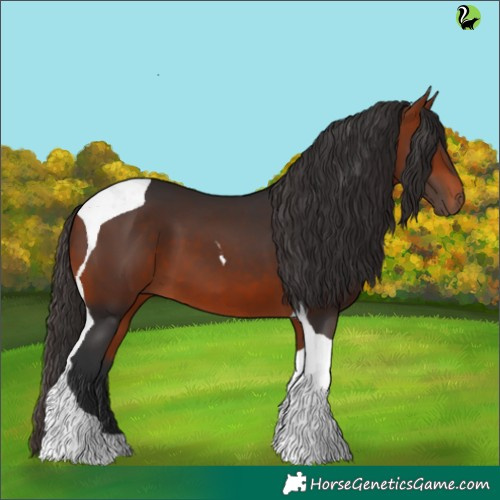 Horse Color:Bay Tobiano 