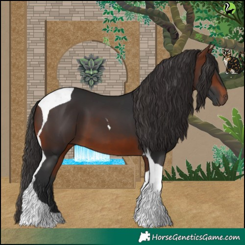Horse Color:Bay Tobiano 