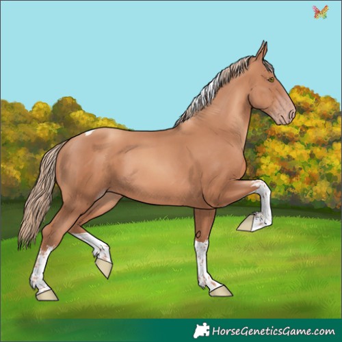 Horse Color:White Spotted Gold Champagne Tobiano 