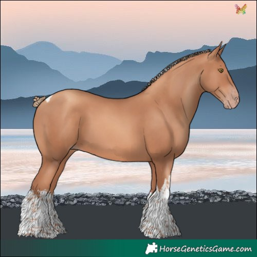 Horse Color:White Spotted Gold Champagne Tobiano 