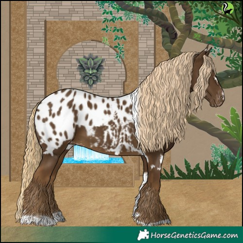 Horse Color:White Spotted Chocolate Palomino Tobiano Appaloosa 