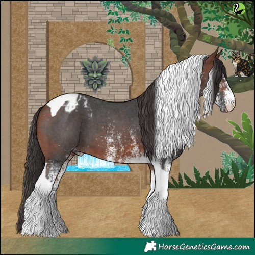 Horse Color:White Spotted Bay Tobiano Varnish 