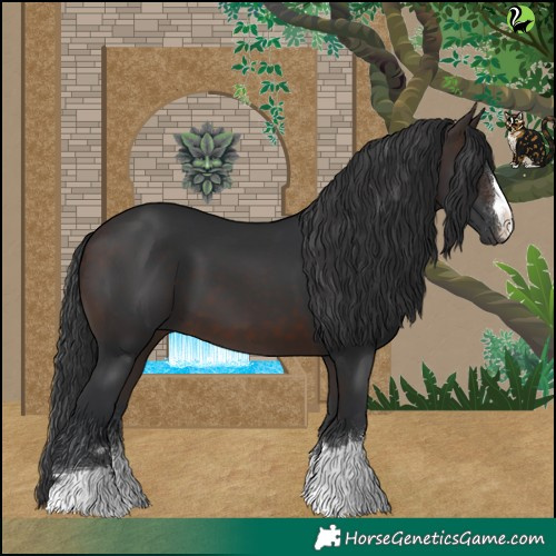 Horse Color:Brown 