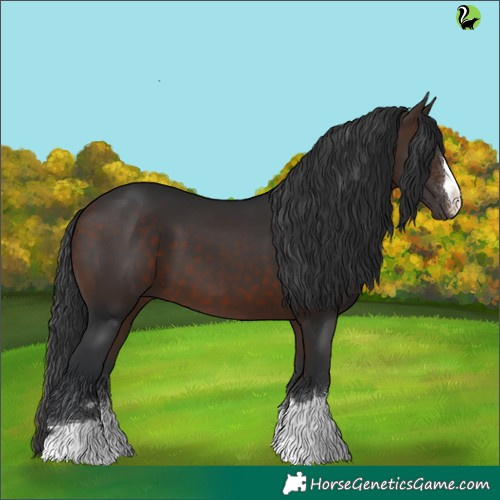 Horse Color:Brown 