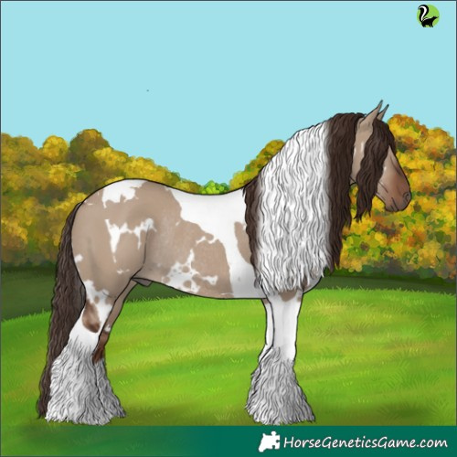 Horse Color:White Spotted Liver Red Dun Tobiano Rabicano 