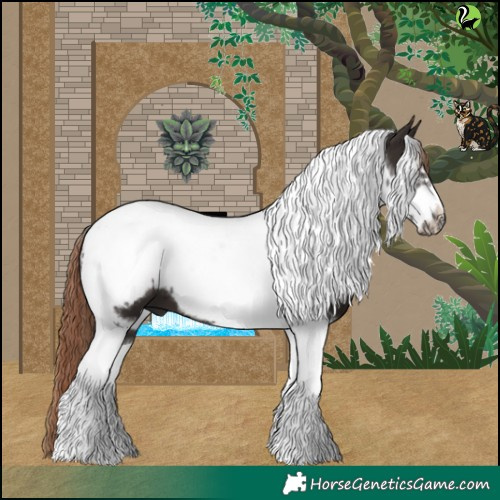 Horse Color:Liver Chestnut Tobiano Frame 