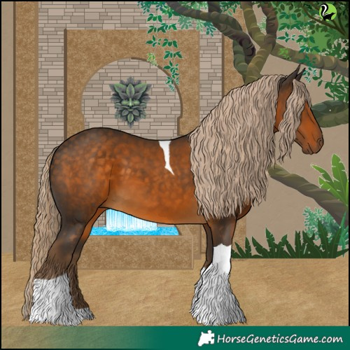 Horse Color:Chocolate Palomino Tobiano 