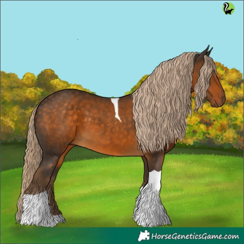 Horse Color:Chocolate Palomino Tobiano 