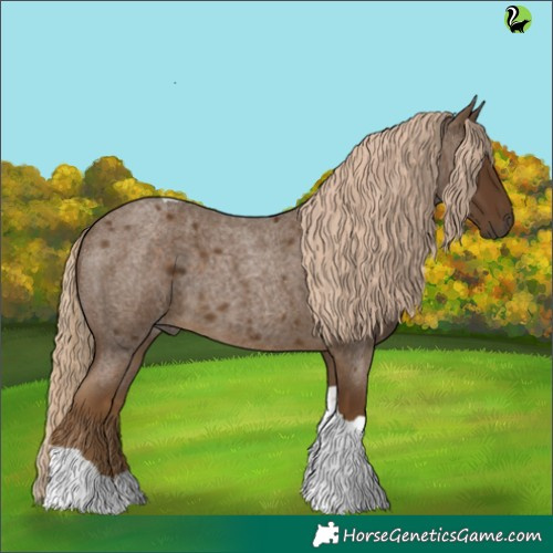 Horse Color:Chocolate Palomino Roan Tobiano Rabicano 