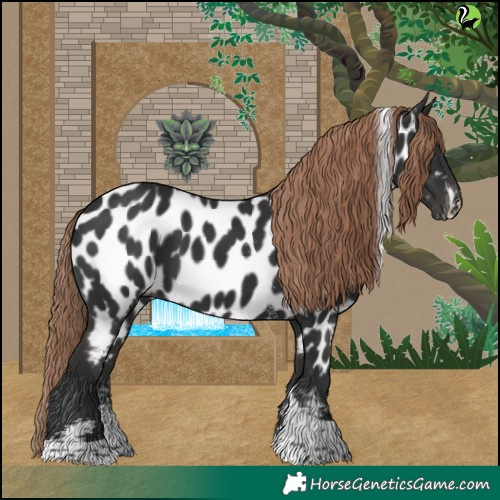 Horse Color:Liver Chestnut Sabino Tobiano Appaloosa 