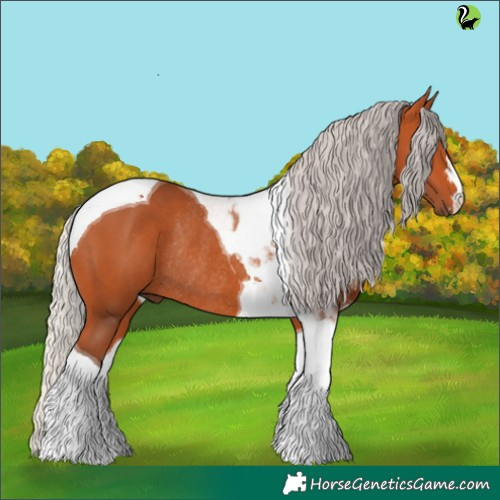 Horse Color:Silver Bay Tobiano Rabicano 