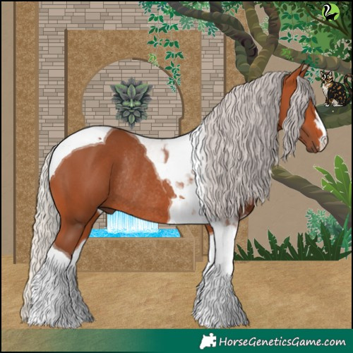 Horse Color:Silver Bay Tobiano Rabicano 