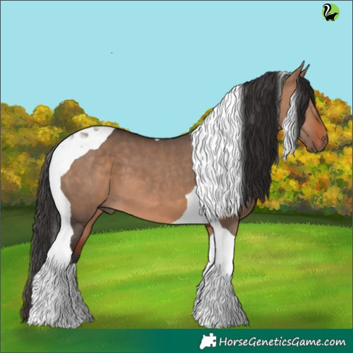 Horse Color:Brown Dun Tobiano 