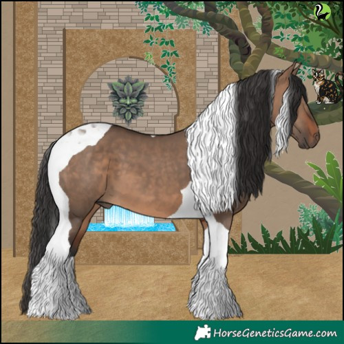 Horse Color:Brown Dun Tobiano 