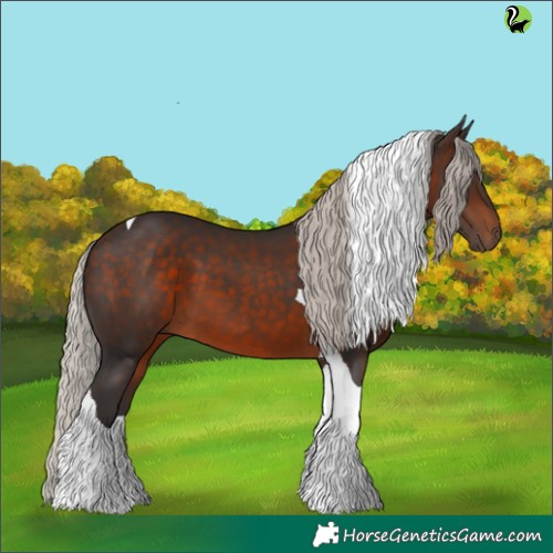 Horse Color:Silver Brown Tobiano 