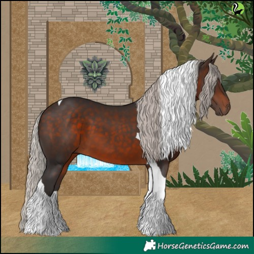 Horse Color:Silver Brown Tobiano 