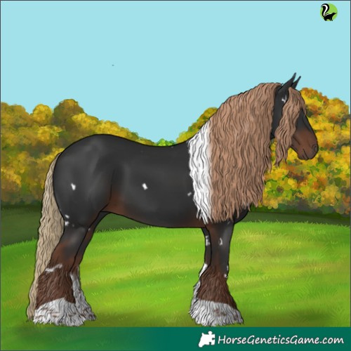 Horse Color:White Spotted Liver Chestnut Tobiano