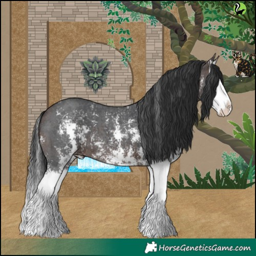 Horse Color:Brown Sabino Splash 