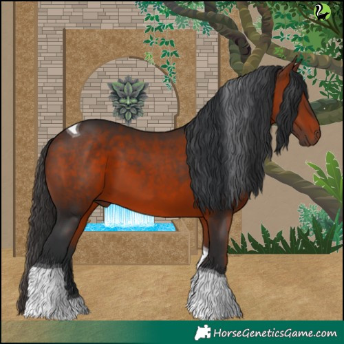 Horse Color:Brown Tobiano 
