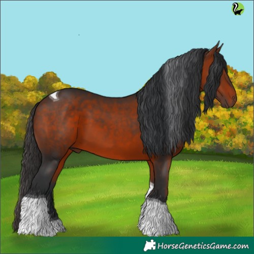 Horse Color:Brown Tobiano 